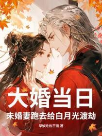 重生嫁给渣男他皇叔