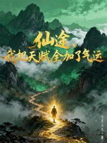双生兄弟文