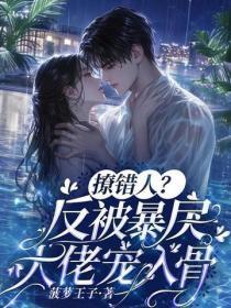 春风不晚短剧