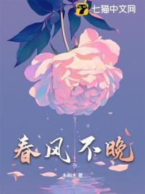 仕途青云全本